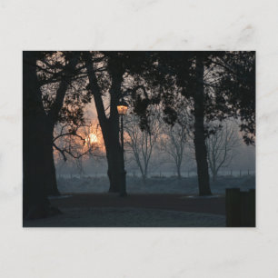 Sunrise Postcard