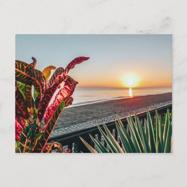 Sunrise Postcard (Front)