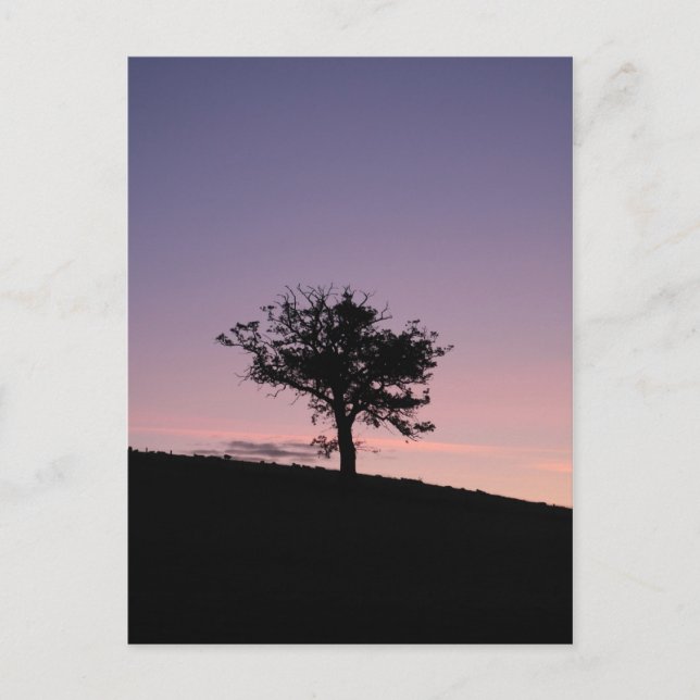 Sunrise Postcard (Front)