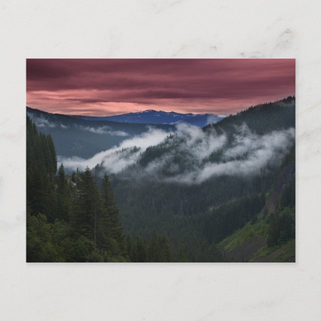 Sunrise postcard (Front)