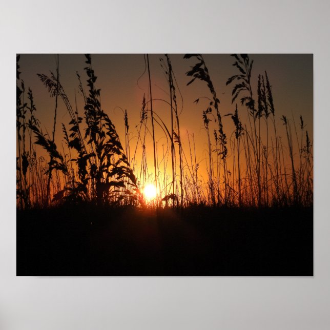 Sunrise Poster (Front)