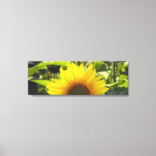 Sunrise Sunflower Canvas Print (36X12)