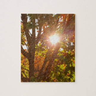 Sunrise Through Autumn Coloured Tree Fall Photo Jigsaw Puzzle