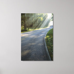 Sunrise through fog alongside Green River Canvas Print