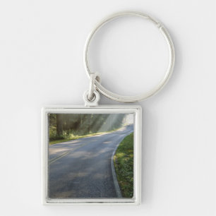 Sunrise through fog alongside Green River Keychain