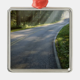 Sunrise through fog alongside Green River Metal Ornament