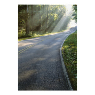 Sunrise through fog alongside Green River Photo Print