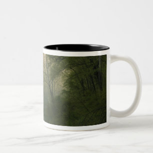 Sunrise through fog viewed from Red Bluff, Two-Tone Coffee Mug