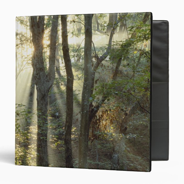 Sunrise through oak and hickory forest, binder (Front/Inside)