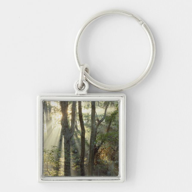 Sunrise through oak and hickory forest, keychain (Front)
