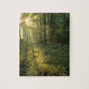 Sunrise through oak and hickory forest, Mammoth Jigsaw Puzzle