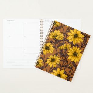 Sunroot, tournesol sauvage en jaune et marron