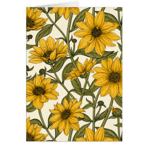 Sunroot, tournesol sauvage sur blanc