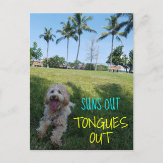 SUNS OUT TONGUES OUT2 ANNOUNCEMENT POSTCARD