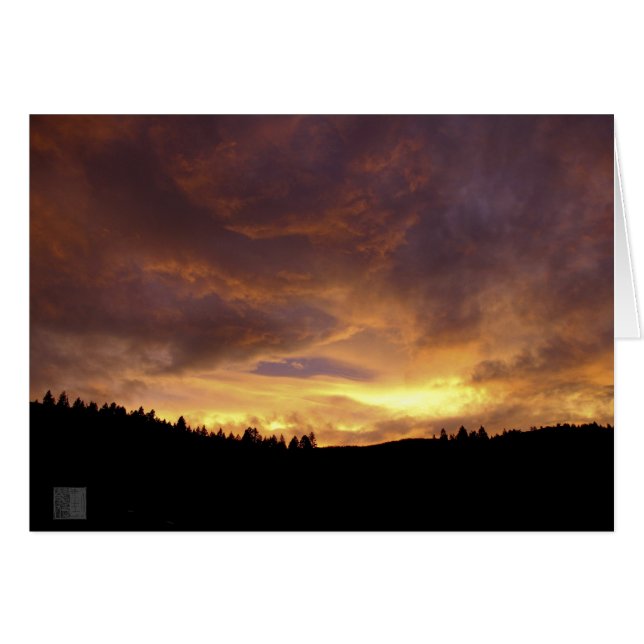 Sunset (Front Horizontal)