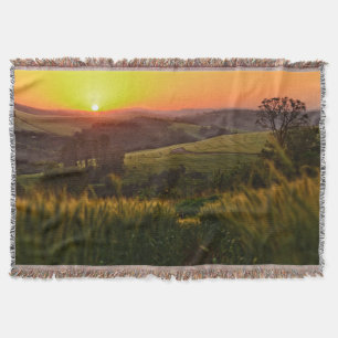 Sunset Agriculture Wheat Throw Blanket