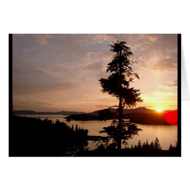 Sunset and Cedar trees (Front Horizontal)