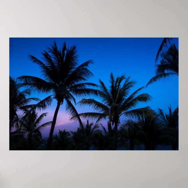 Sunset and Palm Trees Poster (Front)