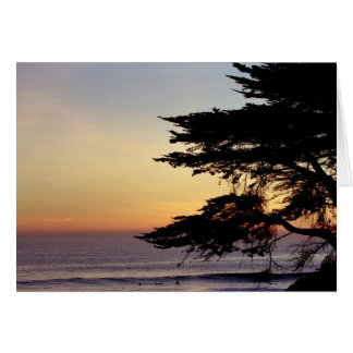 Sunset and Tree, Santa Cruz (Card)