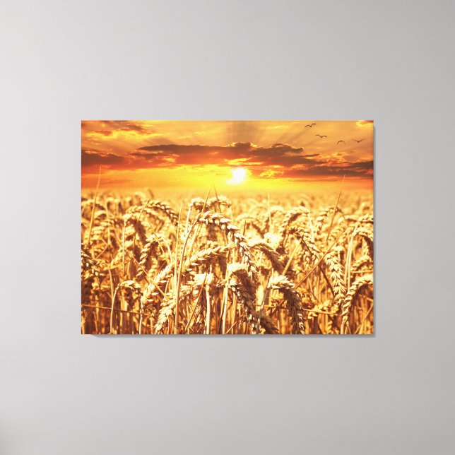 Sunset and Wheat Field Canvas Print (Front)