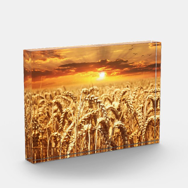 Sunset and Wheat Field Photo Block (Left)