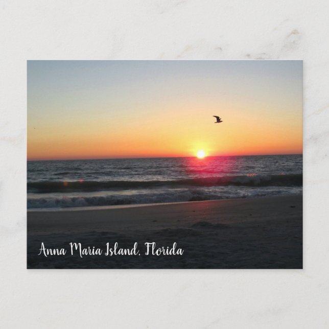 Sunset Anna Maria Island Florida travel Postcard (Front)