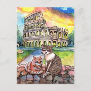 Sunset at Coliseum Postcard