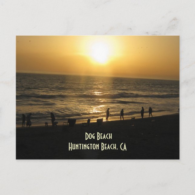 Sunset at Dog Beach Postcard (Front)