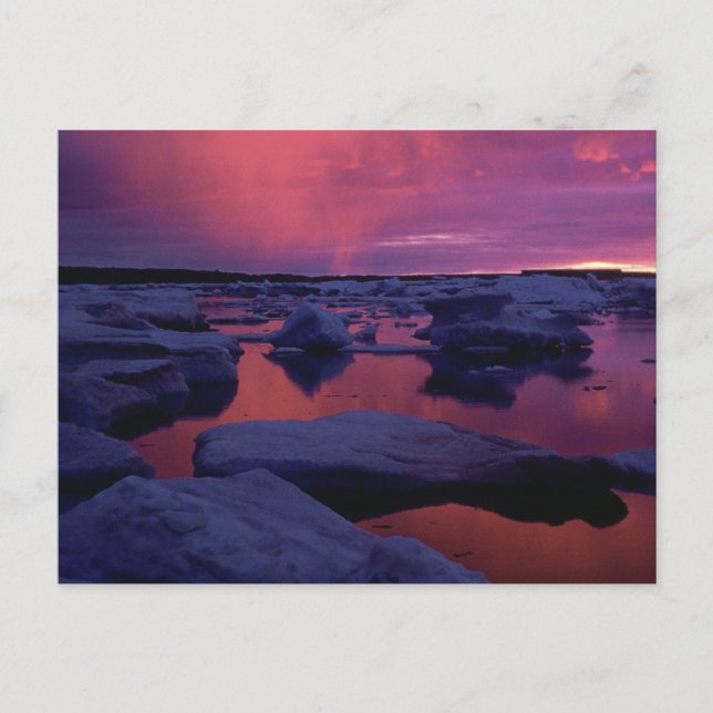 Sunset at Hudson Bay, Canada Postcard (Front)