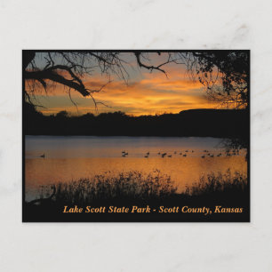 Sunset at Lake Scott State Park - Geese on Lake Postcard
