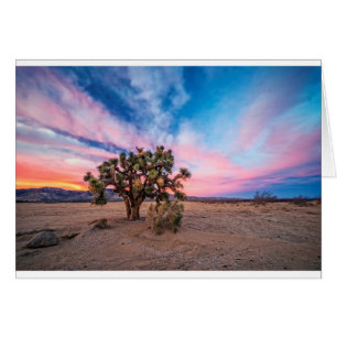 Sunset at Mojave
