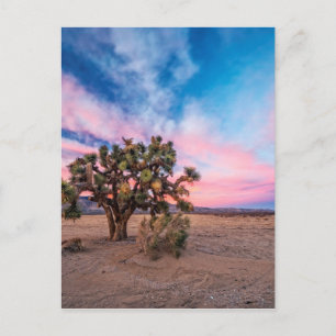 Sunset at Mojave Postcard