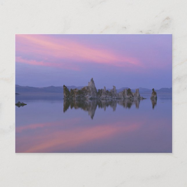 Sunset at Mono Lake, CA. Postcard (Front)
