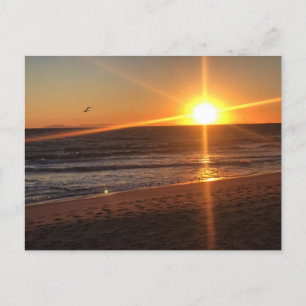 Sunset at Newport Beach, California Postcard