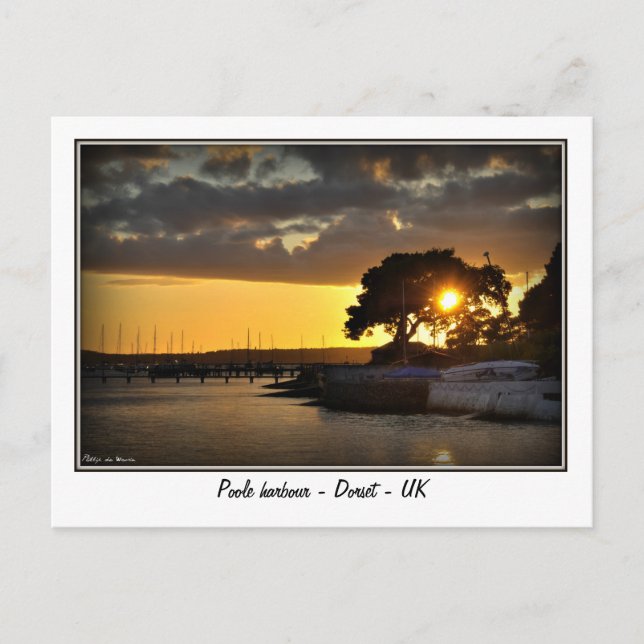 Sunset at Poole harbour - Dorset - Uk Postcard (Front)
