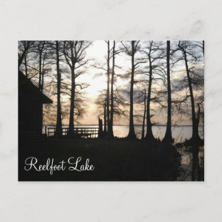 Sunset at Reelfoot Postcard