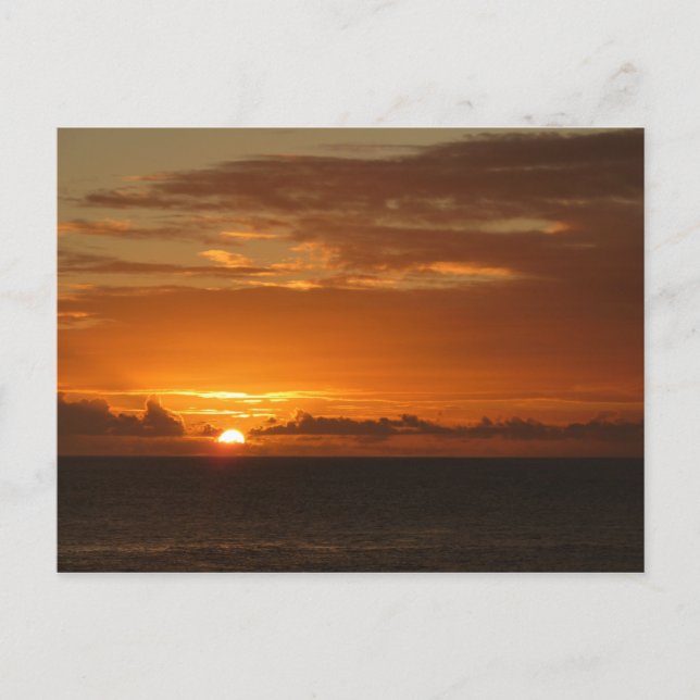 Sunset at Sea I Tropical Colourful Seascape Postcard (Front)