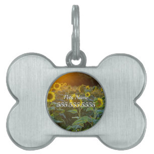 Sunset At Sunflower Field Pet Tag