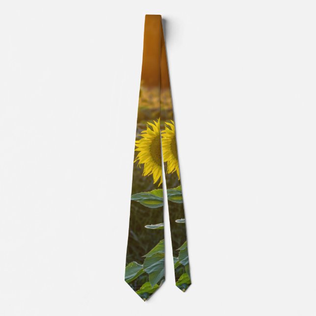 Sunset At Sunflower Field Tie (Front)