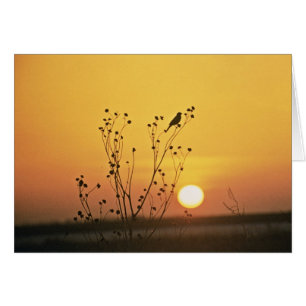 Sunset at Tewaukoa National Wildlife Refuge