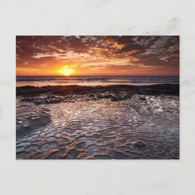 Sunset at the beach, California Postcard (Front)
