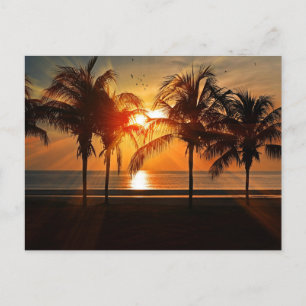 Sunset at the Beach, Tropical Landscape,  Postcard