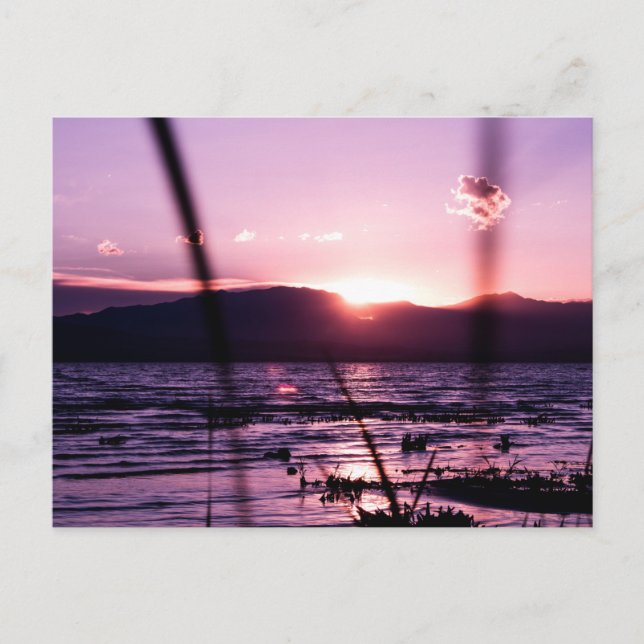 Sunset at Utah Lake Postcard (Front)