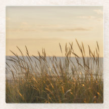 Sunset beach grass, calm aesthetic
