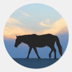 Sunset Beach Horse Classic Round Sticker