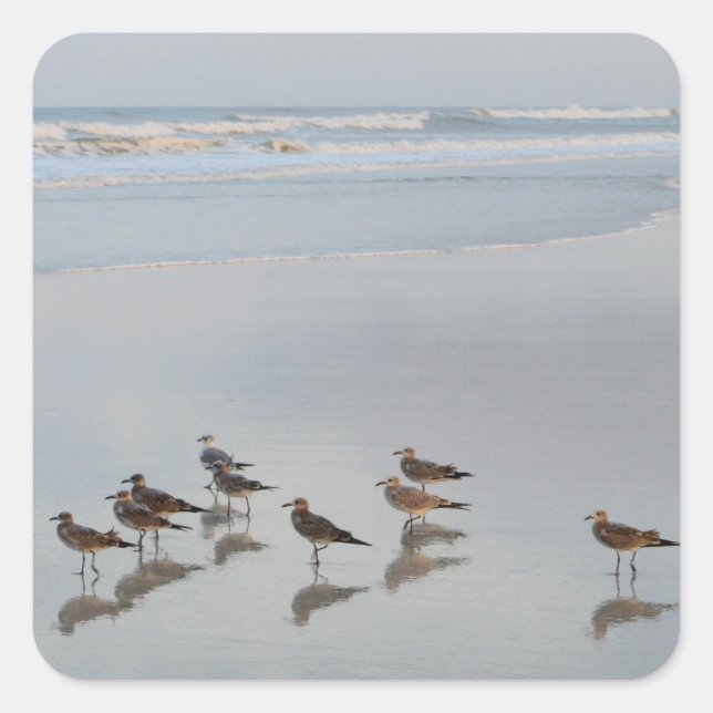 Sunset Beach Photograph Flock of Birds By Ocean Square Sticker (Front)