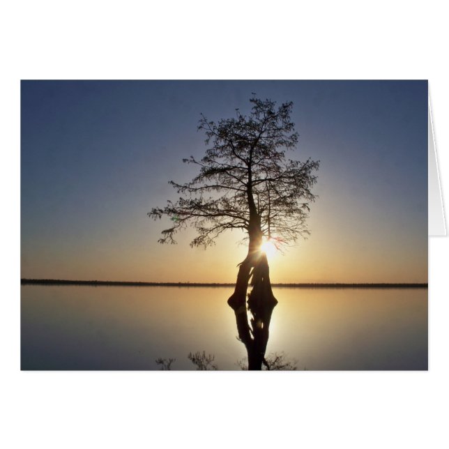 Sunset Behind a Tree (Front Horizontal)