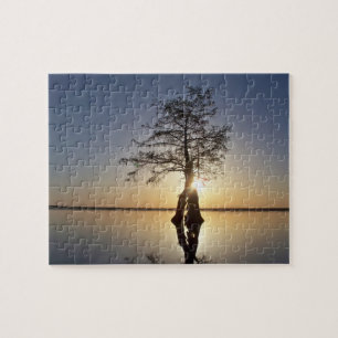 Sunset Behind a Tree Jigsaw Puzzle