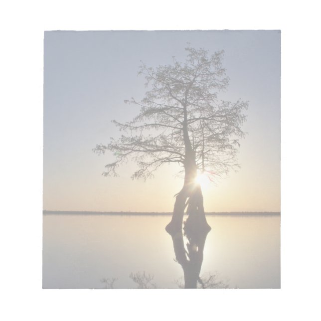 Sunset Behind a Tree Notepad (Front)