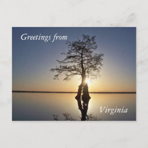Sunset Behind a Tree Postcard